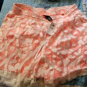 lane bryant shorts